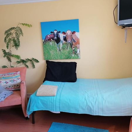 B&B Bij De Koeien Tubbergen Eksteriør billede